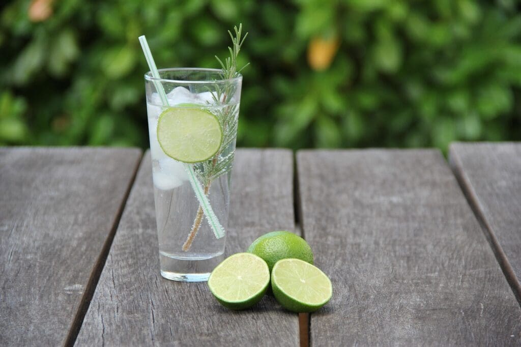 GIN TONIC TANQVERAY